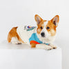 A small Shiba Inu dog wearing a light blue and orange vest with text on the chest, sitting on a white surface.
