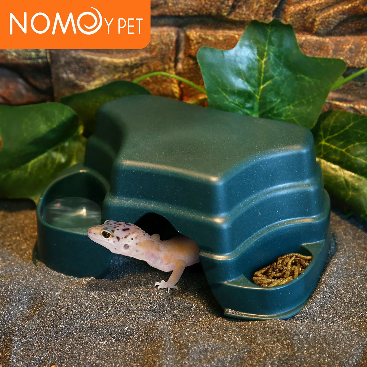 A reptile hide cave decoration featuring a plastic container with food bowls and a small lizard inside.
