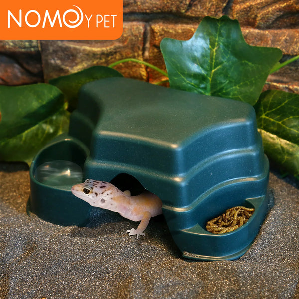 A reptile hide cave decoration featuring a plastic container with food bowls and a small lizard inside.