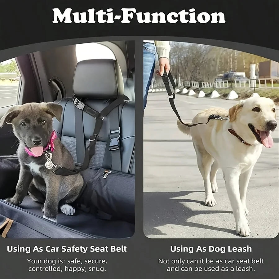 Harnais de sécurité multi-fonction pour chien, utilisé comme ceinture de sécurité et laisse.