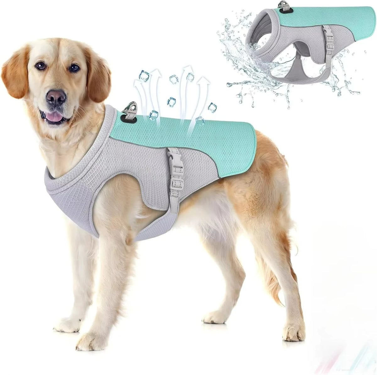 A golden retriever wearing a light blue evaporative cooling dog vest with a reflective harness, showing water spray effects.
