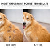 Before and after comparison of a dog's coat using pet skin care spray for itch relief and fur regrowth