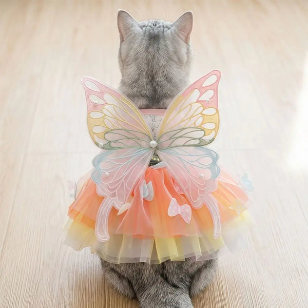 A gray cat wearing a colorful rainbow butterfly pet dress with sheer fabric wings.