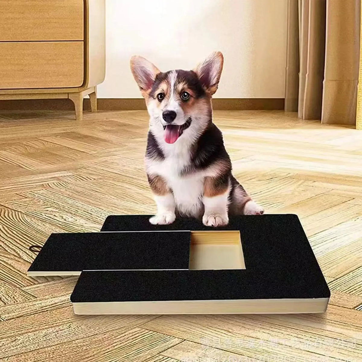 A small brown and white dog is sitting on a wooden nail scratching board with a treat box.