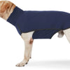 A light-colored dog wearing a navy blue fleece sweater with a high collar.