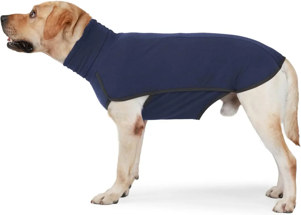 A light-colored dog wearing a navy blue fleece sweater with a high collar.