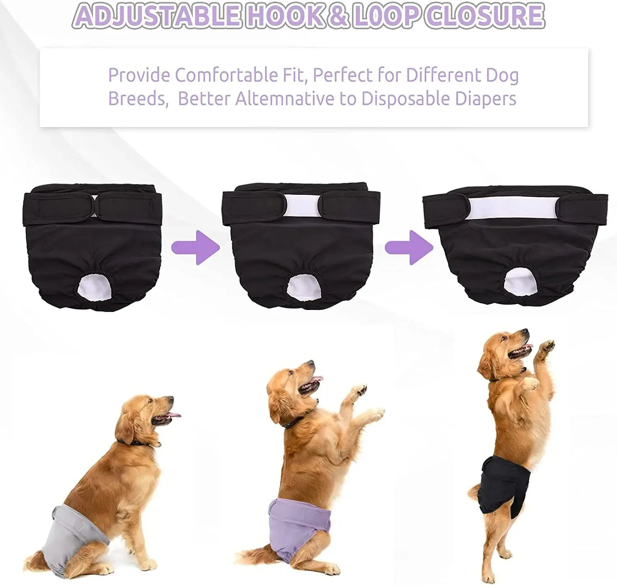Reusable female dog diapers in black and purple for different dog breeds with an adjustable hook and loop closure