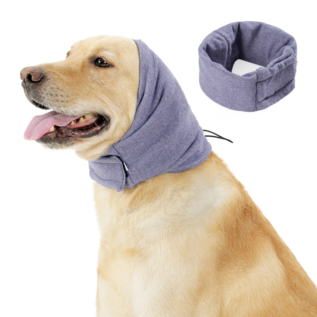 Ein golden Retriever trägt einen lila beruhigenden Hoodie und Ohrenschutz für Hunde.