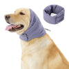 Ein goldener Retriever trägt einen lila beruhigenden Hoodie und Ohrenschutz für Hunde.