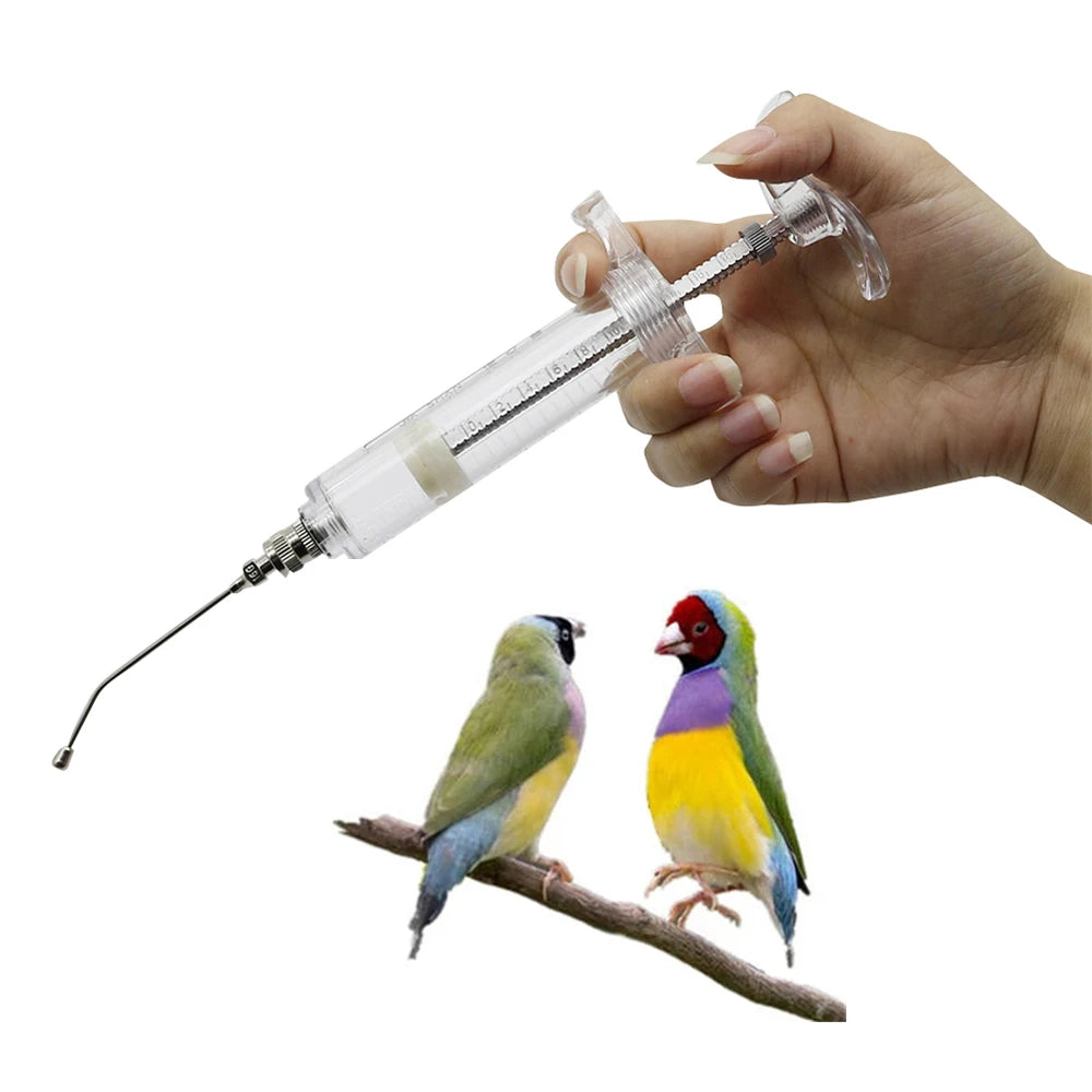 A hand holds a stainless steel bird feeding syringe with a needle, positioned above a colorful bird perched on a branch.