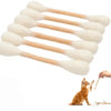 A set of giant cotton swab shaped catnip toys arranged in a fan pattern next to a small orange kitten.