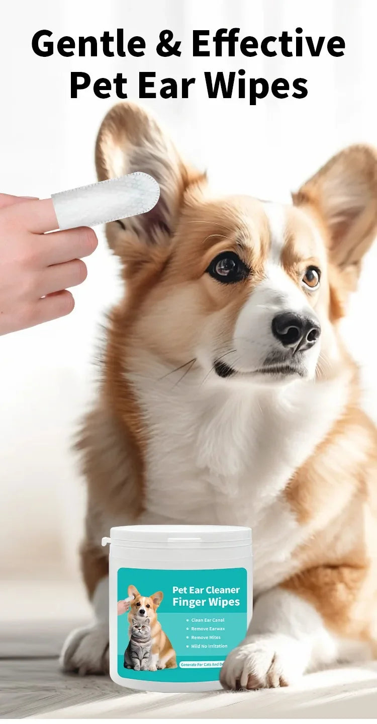 A dog looks at a hand holding pet ear wipes, with a container of pet ear cleaner finger wipes in the foreground.