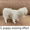 Un cachorro blanco lleva un impermeable transparente con capucha.