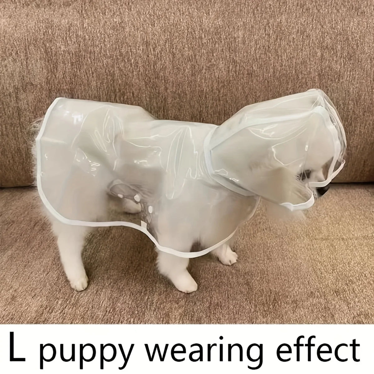 Un cachorro blanco lleva un impermeable transparente con capucha.