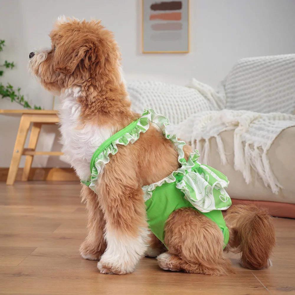 A fluffy golden retriever wearing green reusable dog diaper pants sitting on a wooden floor.