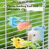 A parrot feeding fruit and vegetable clip attached to a wire cage feeder