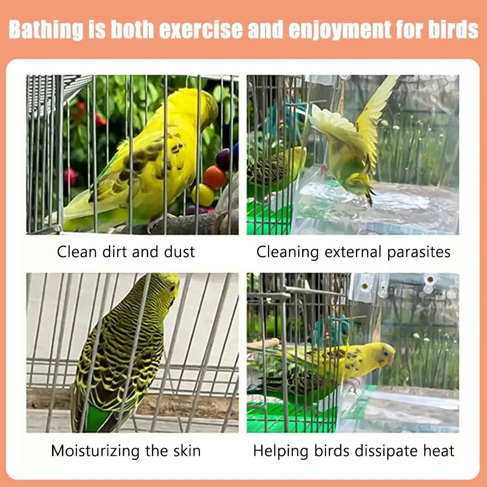 A clear plastic hanging bird bath used for cleaning dirt, external parasites, moisturizing skin, and dissipating heat for bir