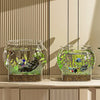 Bocal en verre clair avec des poissons colorés et des plantes aquatiques sur une surface claire.