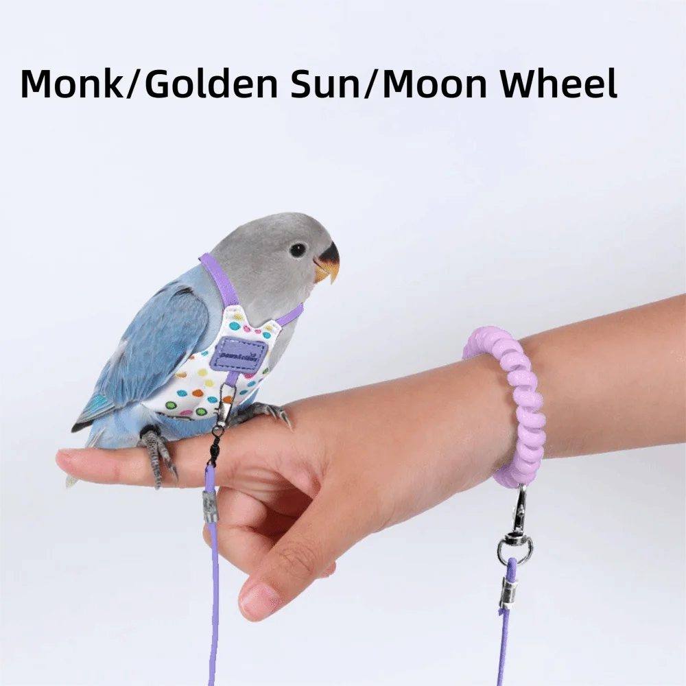 Un petit perroquet bleu portant un harnais avec une roue de lune attachée à sa patte, tenu dans la main d'une personne.