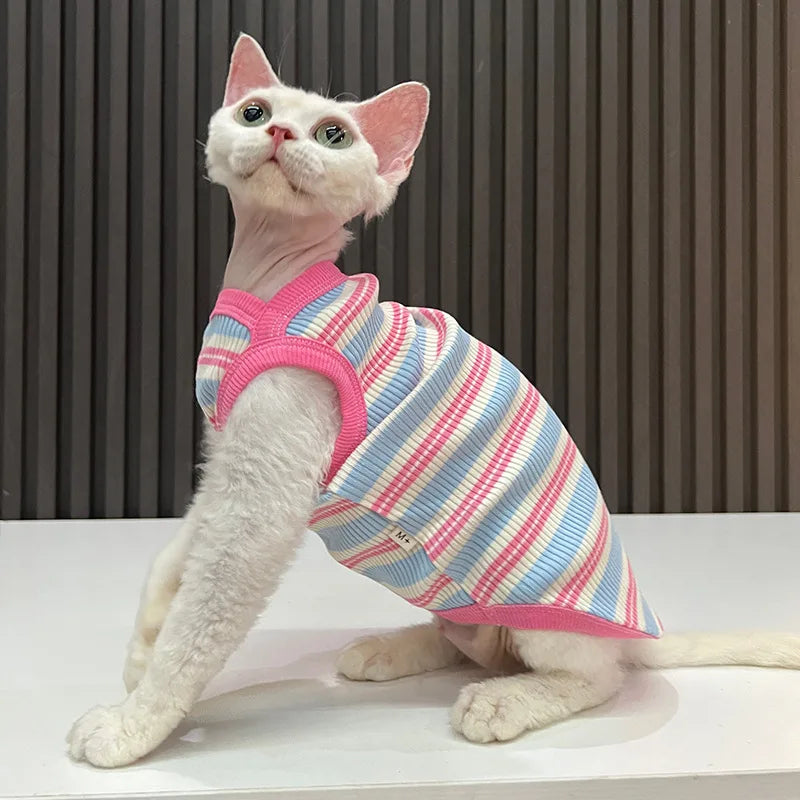 A white cat wearing a pink and blue striped stretchy tank top, looking up.