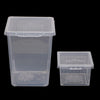 Clear plastic reptile habitat box with a lid and ventilation holes