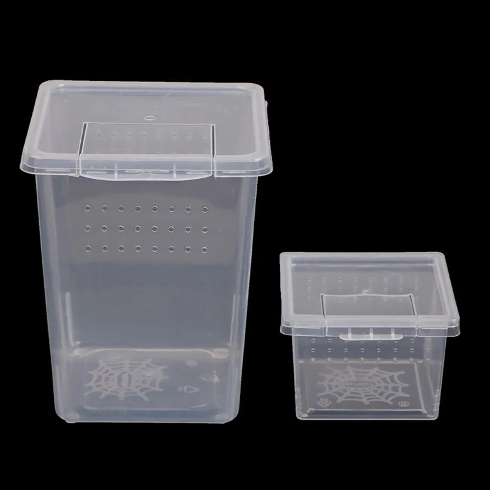 Clear plastic reptile habitat box with a lid and ventilation holes