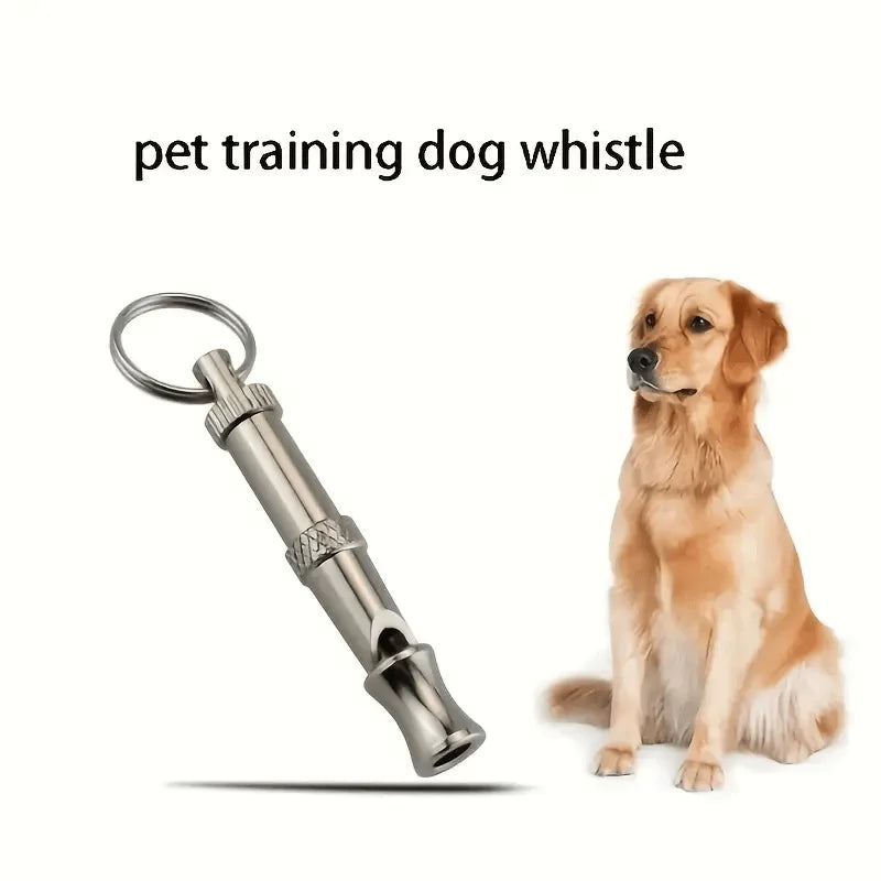 Sifflet pour chien en acier inoxydable réglable à côté d'un golden retriever.