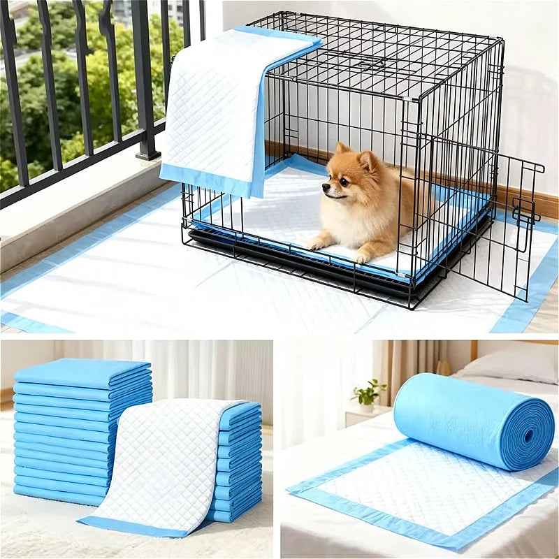 Blue pet training pads and a black wire crate for dog training.