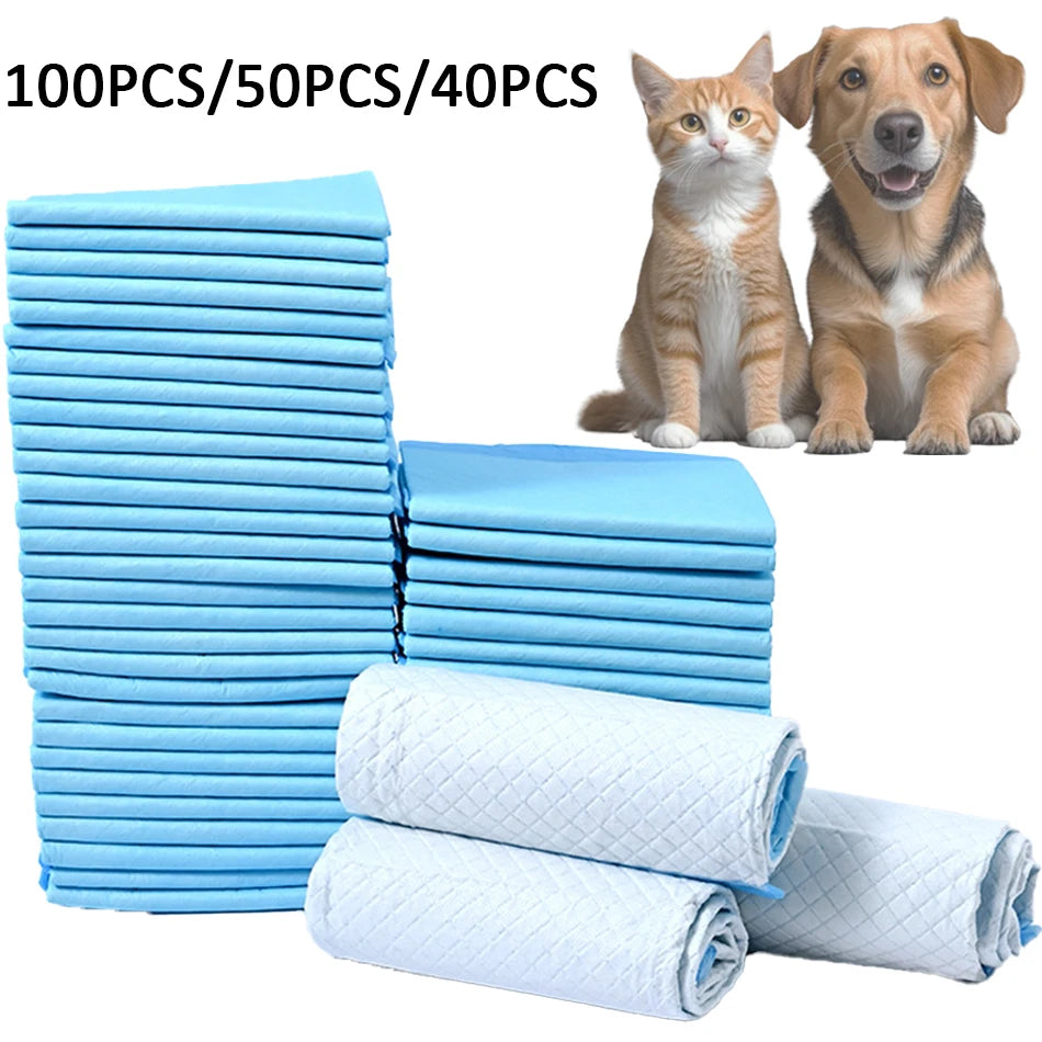 Stacks of blue and white disposable absorbent dog diapers for training and incontinence