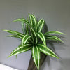 An artificial tropical palm plant with variegated green and white leaves displayed against a gray background.