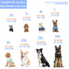 A guide showing various dog breeds and sizes with corresponding shirt sizes XS to 4XL.