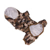 A brown and green camouflage waterproof raincoat for dogs