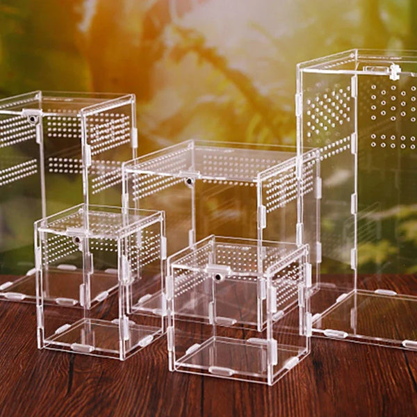 Clear acrylic reptile terrarium breeding boxes arranged on a wooden surface.