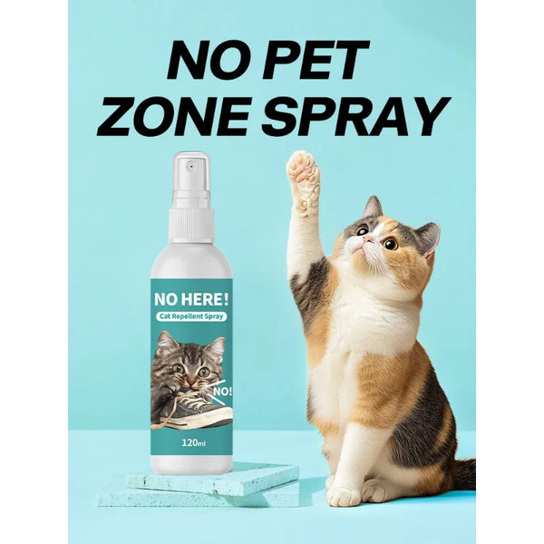 Eine Katze blickt auf, während eine Sprühflasche mit Aufschrift NO PET ZONE SPRAY daneben steht, auf einer hellblauen Oberflä