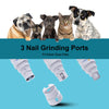 Une collection de trois ports de ponçage des ongles pour chiens, montrés à côté de divers animaux de compagnie.