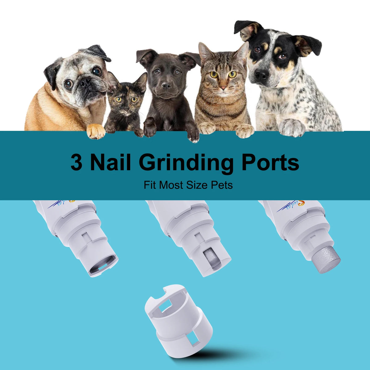 Une collection de trois ports de ponçage des ongles pour chiens, montrés à côté de divers animaux de compagnie.
