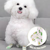 A fluffy white dog wearing a self-adhesive paw protector bandage on its front paw.