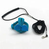 Blue parrot bird harness and black leash set for safe handling
