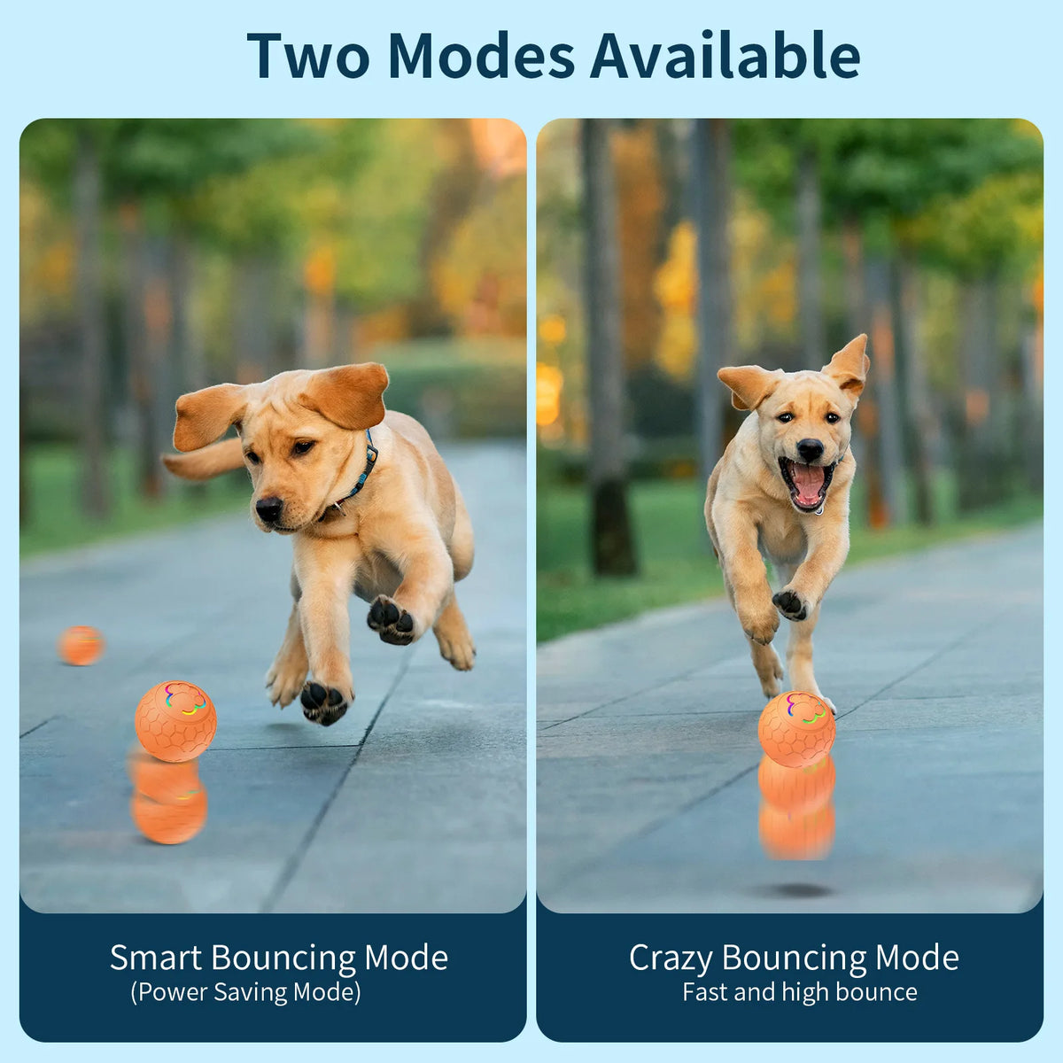 Zwei Modi für einen interaktiven elektronischen Hundeball: Smart Bouncing Mode und Crazy Bouncing Mode