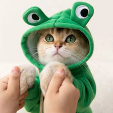 A cat wearing a green frog-themed hoodie is being held by a person's hands.