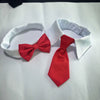 White adjustable formal bow tie collar for cats and small dogs with red fabric