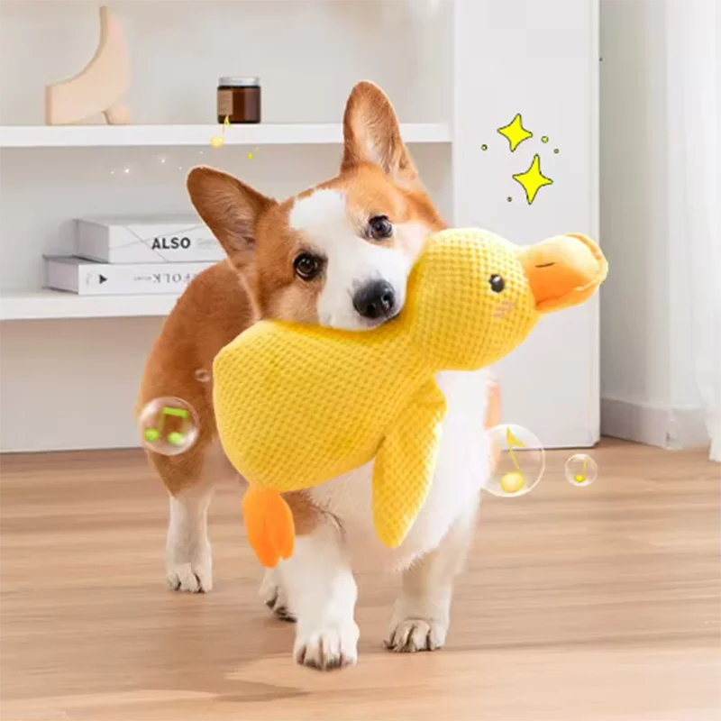 A small dog is playing with a yellow plush duck squeak toy.