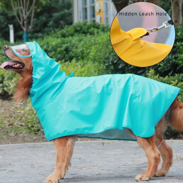 A brown dog wearing a bright blue waterproof raincoat with a yellow hood and leash hole detail.