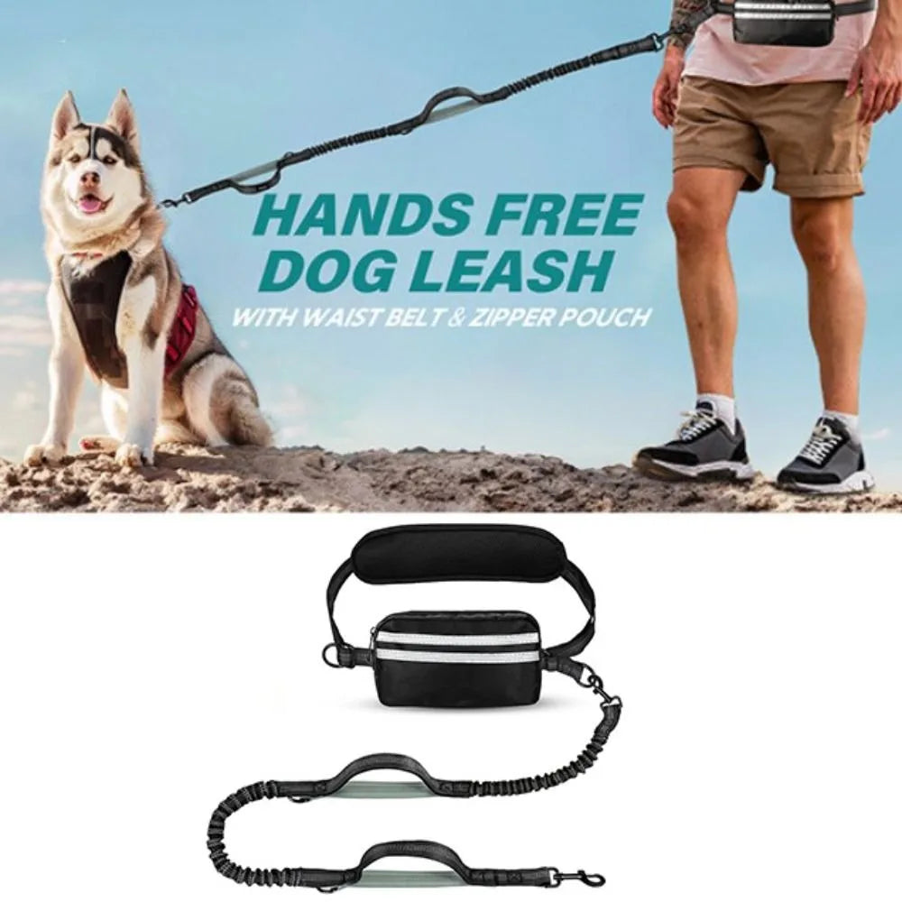 Handfreies Hundeleine mit Tailleny, bei dem eine Person ihren Hund führt.