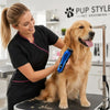 Une femme utilise un coupe-poils sans fil bleu sur un golden retriever pendant le toilettage.