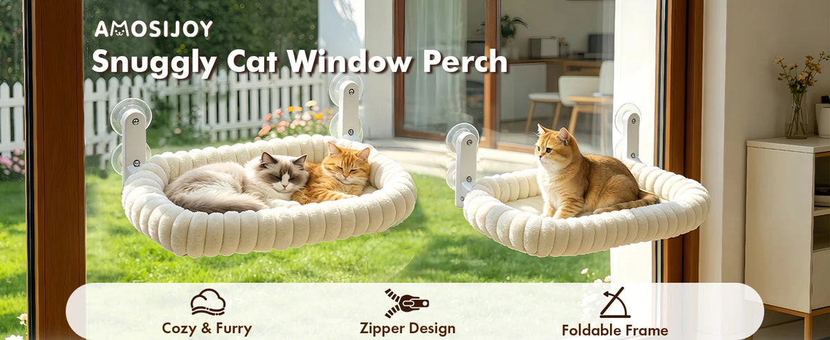 Two fluffy orange and gray cats relaxing in white hammock-style perches mounted on a window