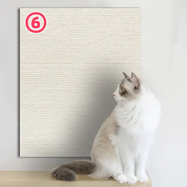 Eine weiße und graue Katze sitzt auf einer Holzoberfläche neben einem gerahmten Mat mit der Zahl 6.