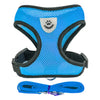 A bright blue pet harness and matching leash set for dogs and cats