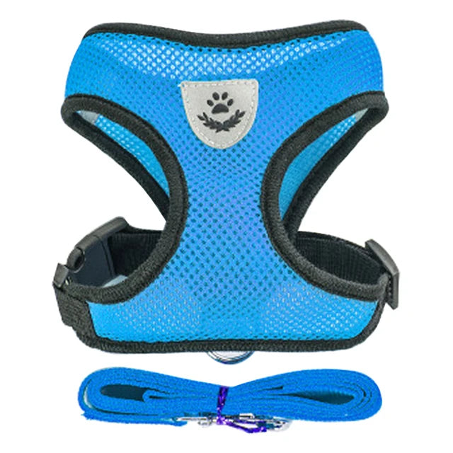 A bright blue pet harness and matching leash set for dogs and cats