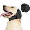 A light-colored dog is wearing a black noise reduction ear muff on its head.